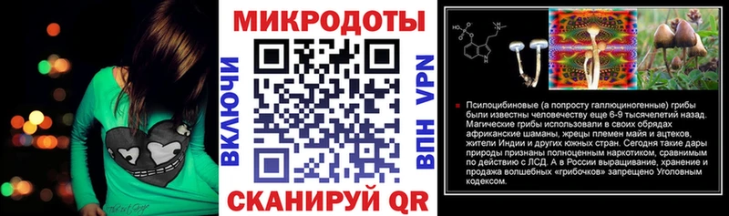 даркнет состав  Котельнич  Псилоцибиновые грибы Psilocybine cubensis 
