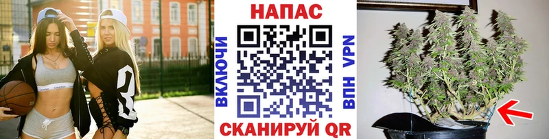 Бошки Шишки планчик Котельнич